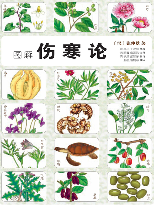 Cover image for 图解伤寒论